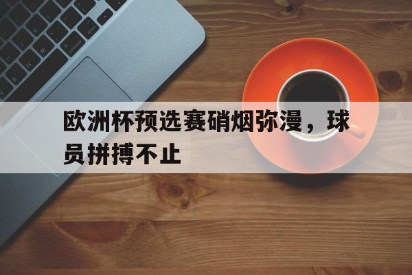 关于欧洲杯预选赛硝烟弥漫，球员拼搏不止的信息